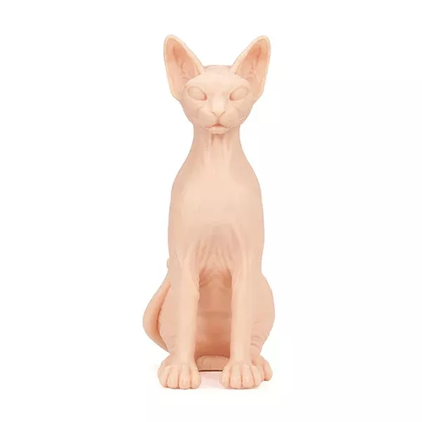 APOF Sphynx Cat