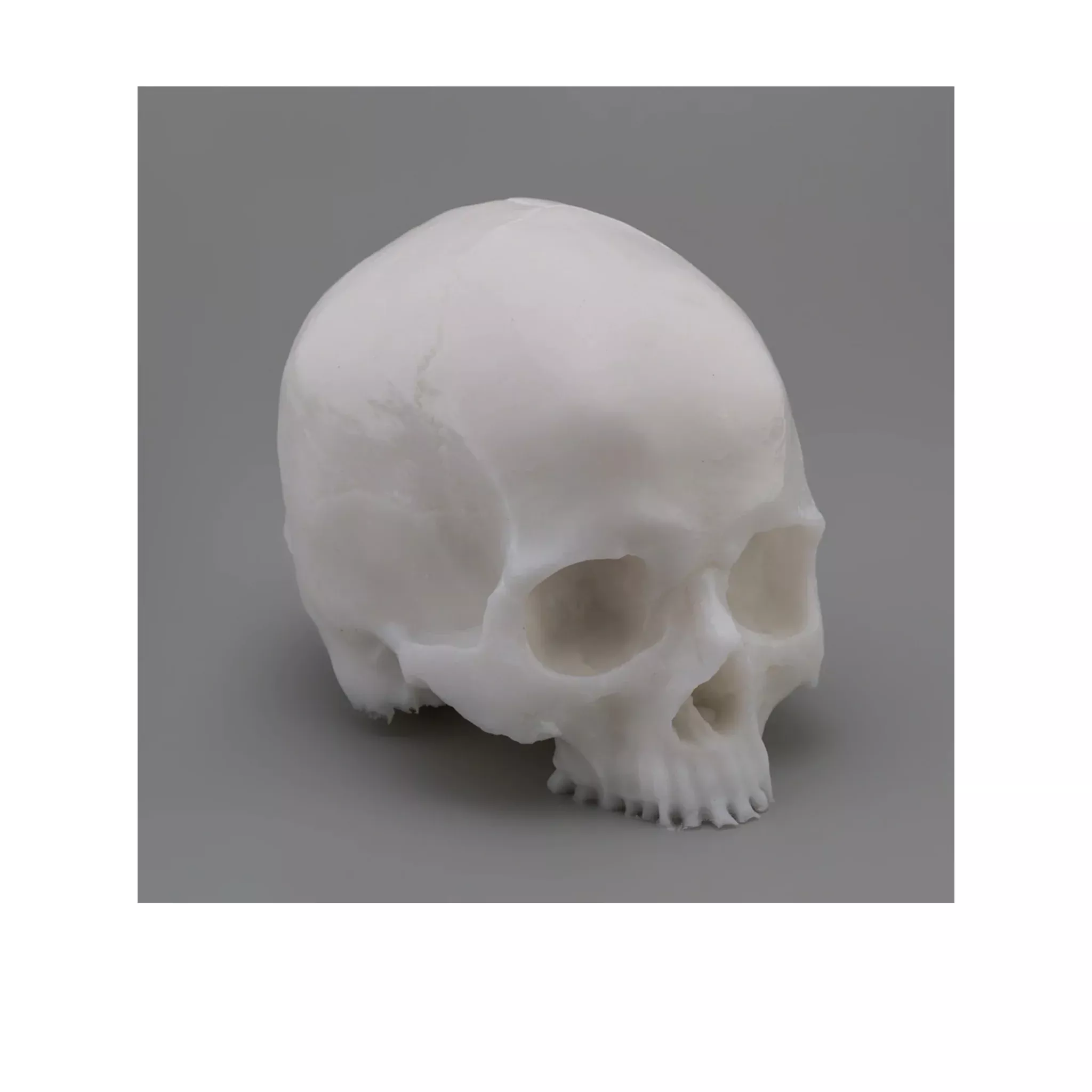 apof-yorick-skull APOF "Yorick" Skull