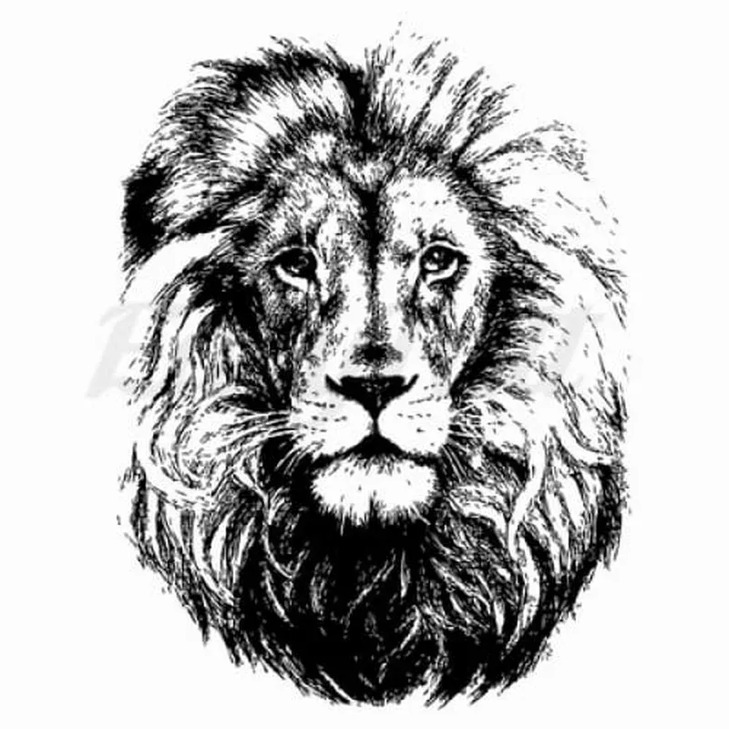 blackwork-lion-temporary-tattoo Blackwork Lion – Temporary Tattoo