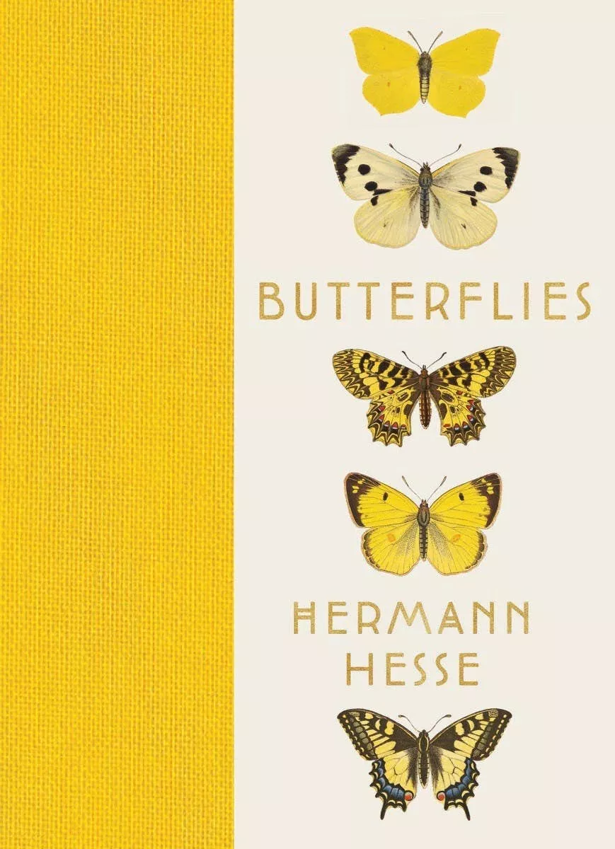 Butterflies: Hardcover