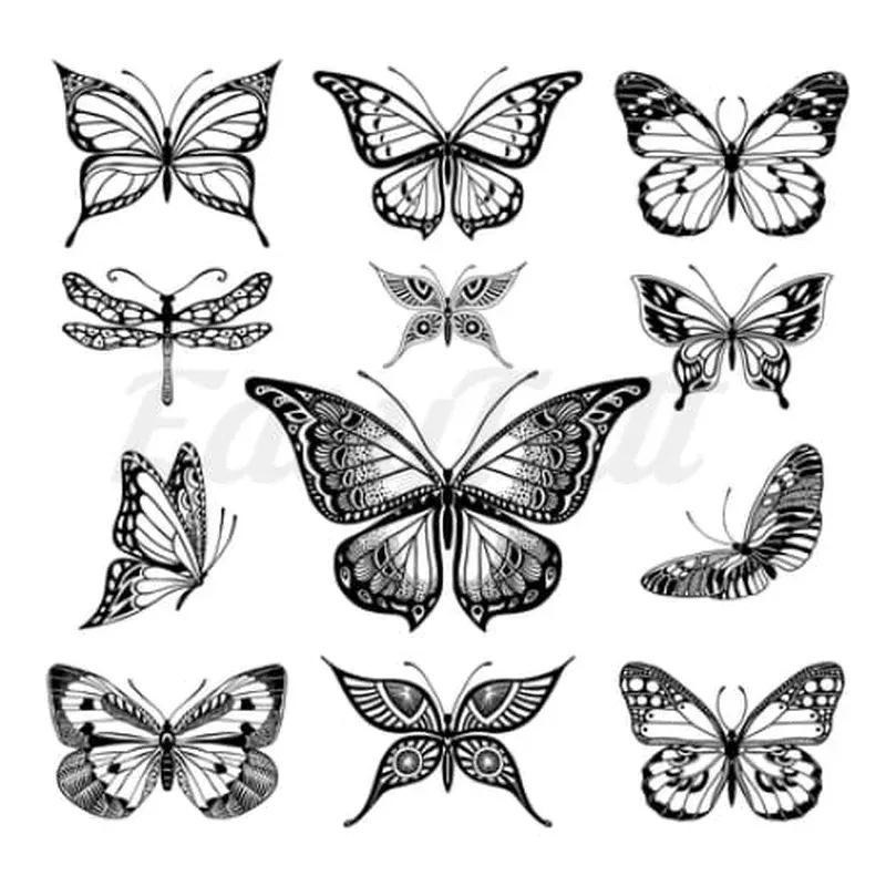 butterfly-collection-temporary-tattoos Butterfly Collection – Temporary Tattoos