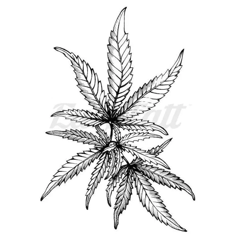cannabis-leaves-temporary-tattoo Cannabis Leaves – Temporary Tattoo