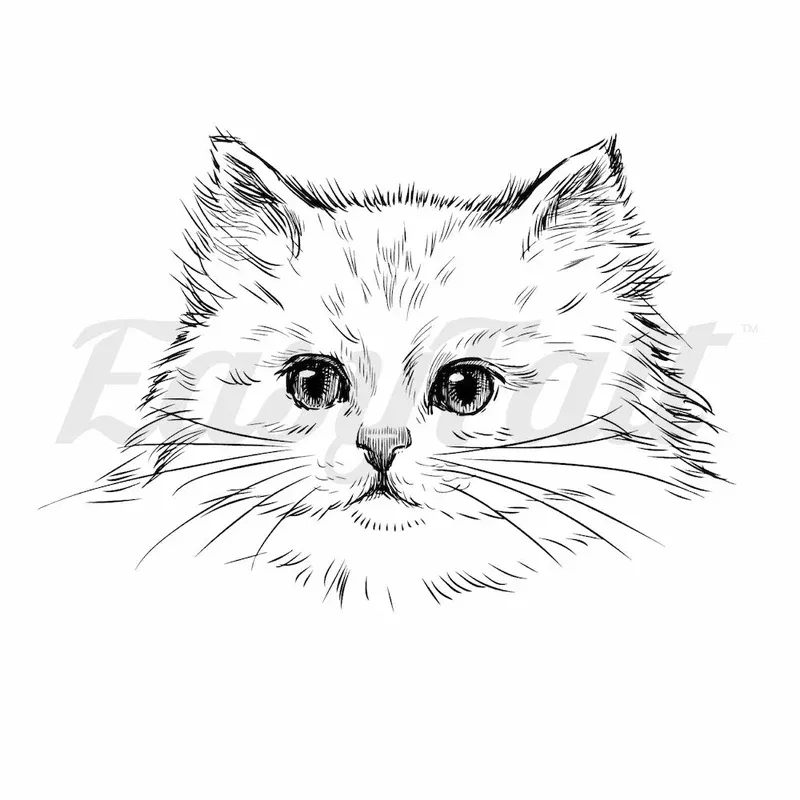 cat-sketch-temporary-tattoo Cat Sketch – Temporary Tattoo