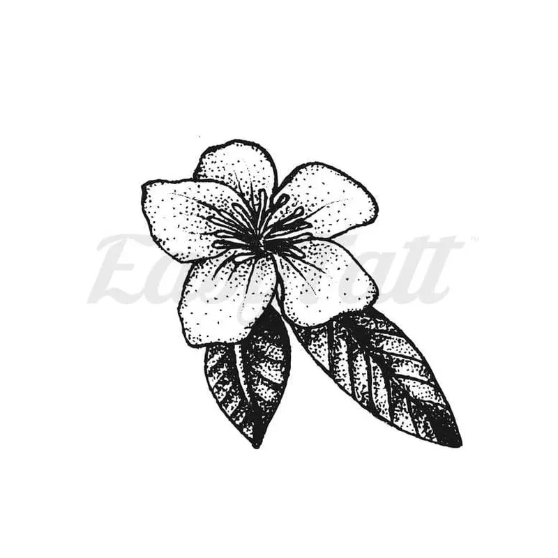clemantis-florida-temporary-tattoo Clemantis Florida – Temporary Tattoo