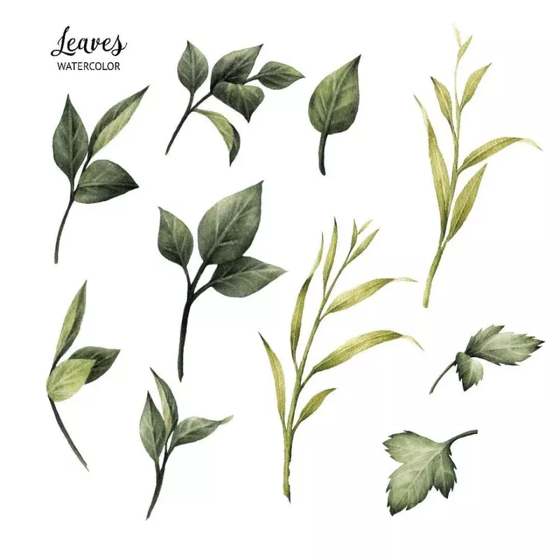 color-leaves-set-temporary-tattoos Color Leaves Set – Temporary Tattoos