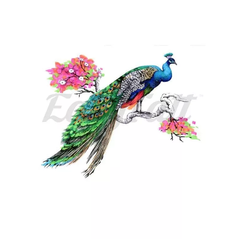 Colourful Peacock – Temporary Tattoo
