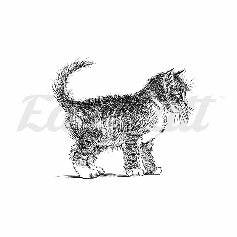curious-kitten-temporary-tattoo Curious Kitten – Temporary Tattoo