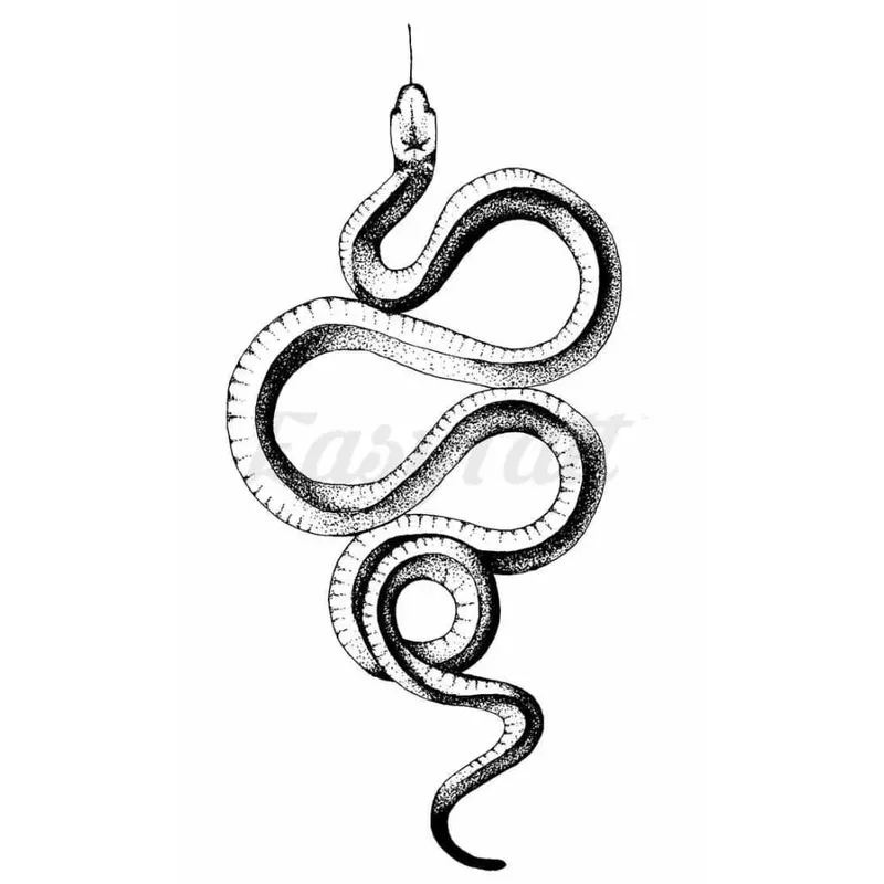 curled-snake-2-temporary-tattoo Curled Snake # 2 – Temporary Tattoo