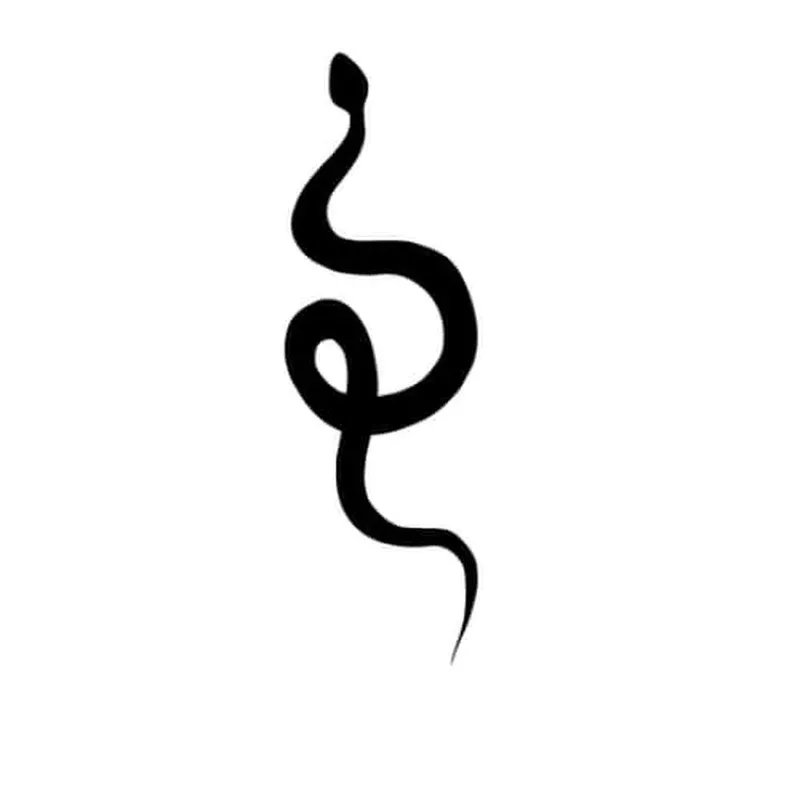 curly-snake-temporary-tattoo Curly Snake – Temporary Tattoo