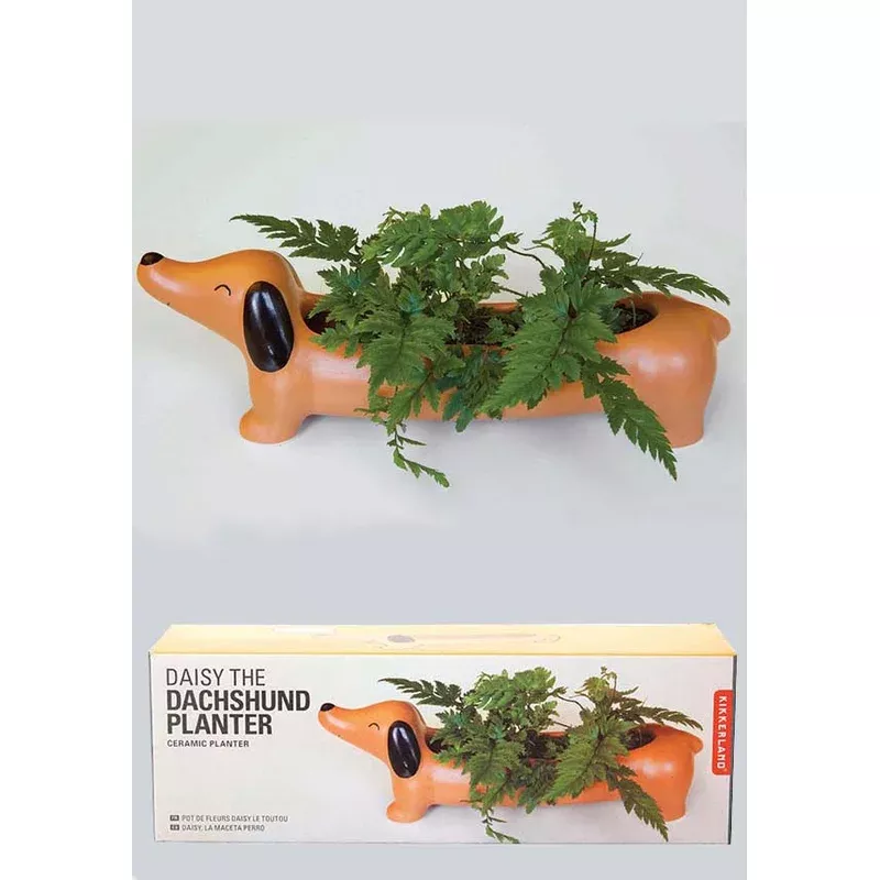 daisy-dachshund-planter Daisy The Dachshund | PLANTER