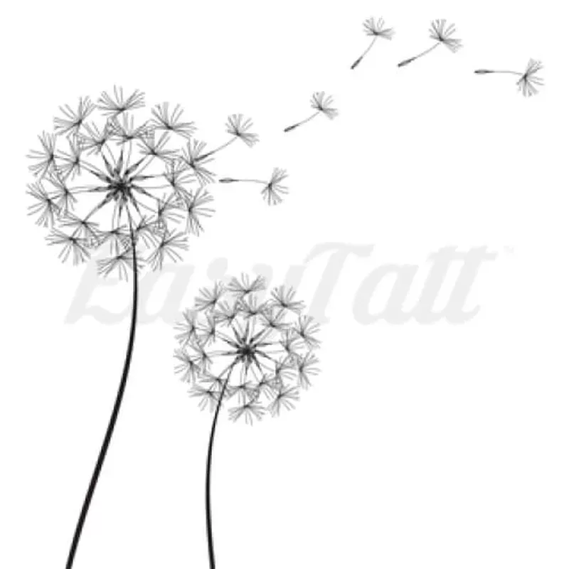 Dandelions – Temporary Tattoo