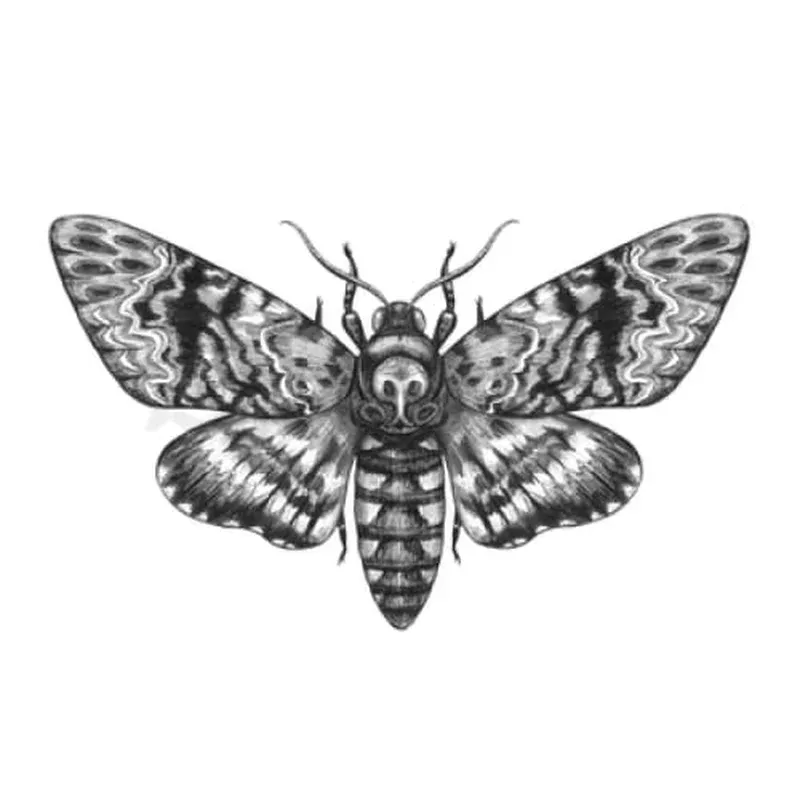 death-moth-2-temporary-tattoo Death Moth # 2 – Temporary Tattoo