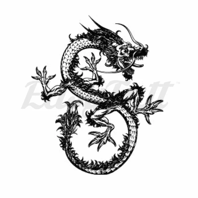 Defensive Dragon – Temporary Tattoos
