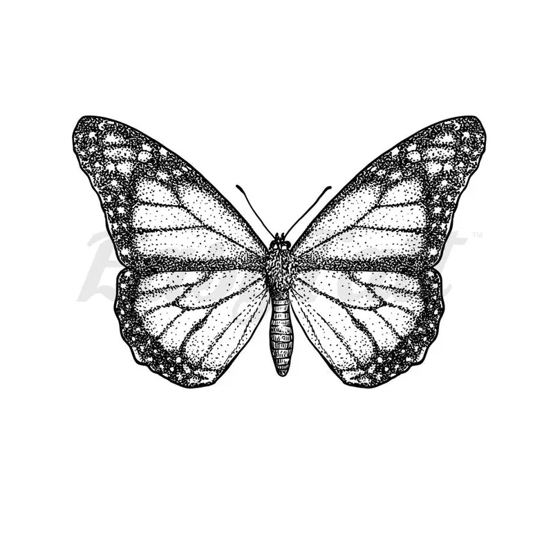 dot-work-butterfly-temporary-tattoo Dot work Butterfly – Temporary Tattoo
