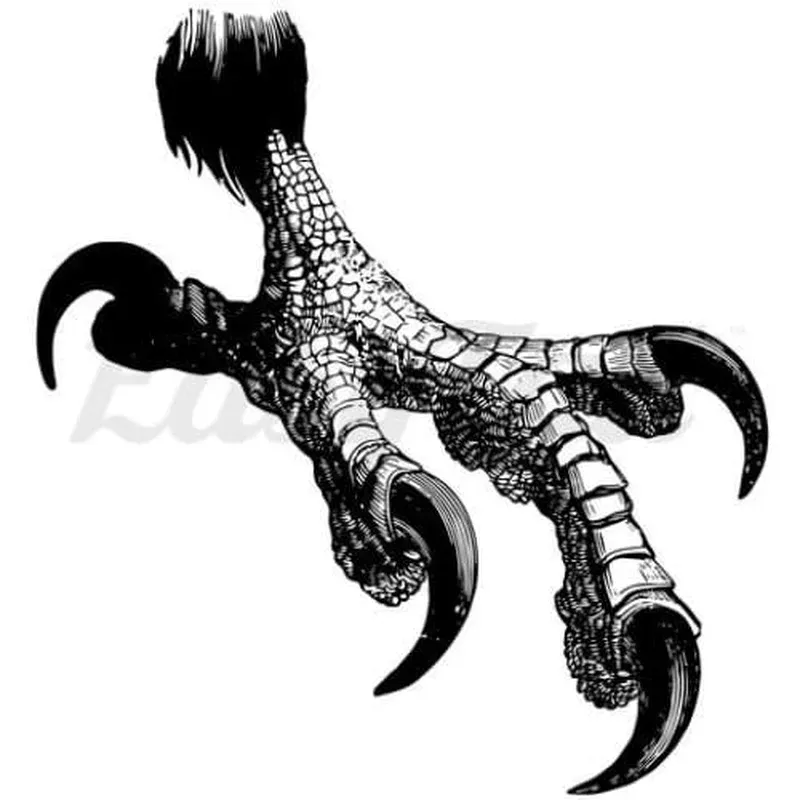 eagle-claw-temporary-tattoo Eagle Claw – Temporary Tattoo