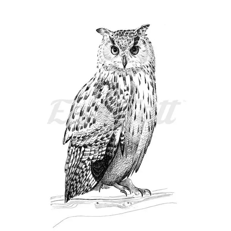 eagle-owl-2-temporary-tattoo Eagle Owl # 2 – Temporary Tattoo