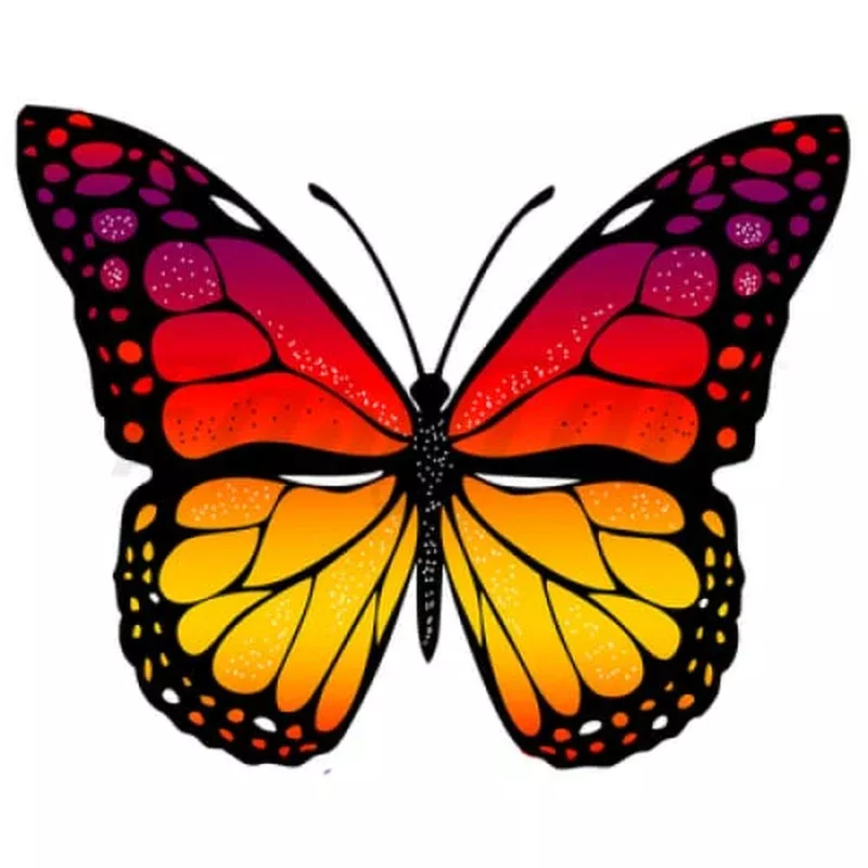 fire-butterfly-by-jen-temporary-tattoo Fire Butterfly – By Jen – Temporary Tattoo