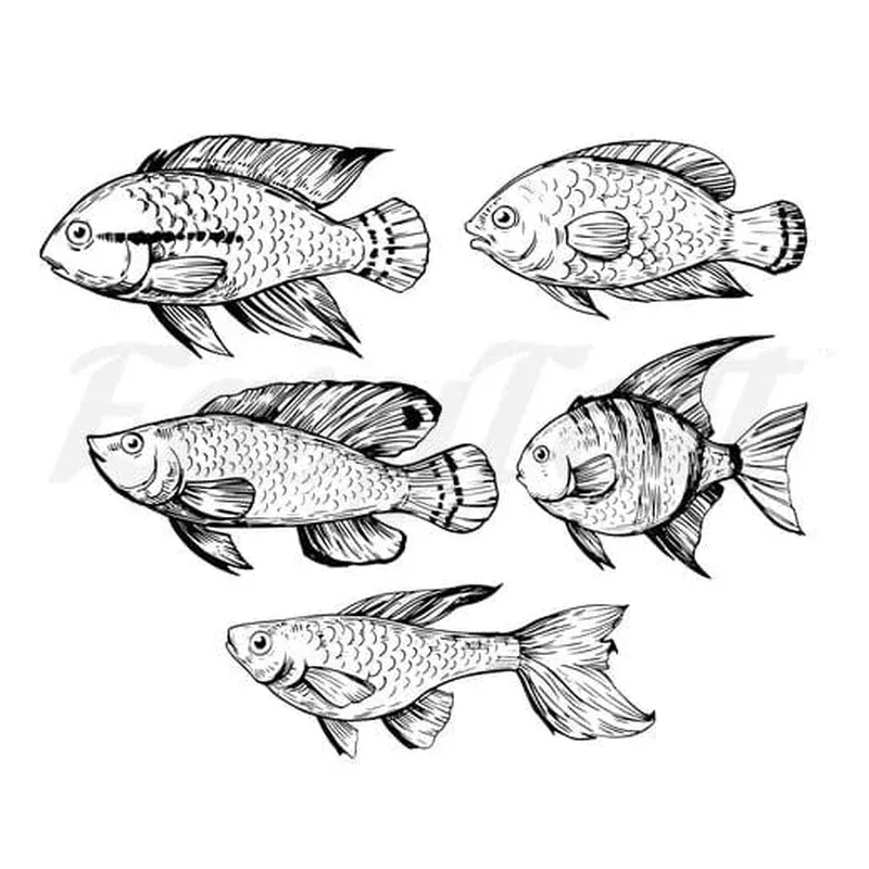 Fishes – Temporary Tattoos