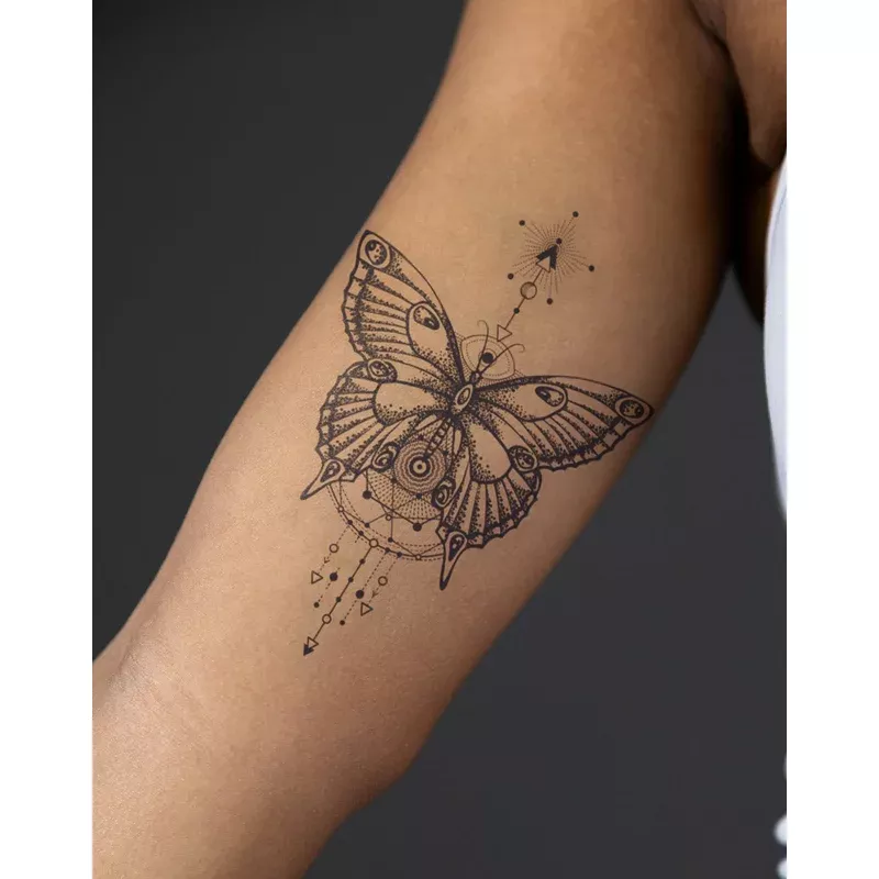 geo-butterfly Geo Butterfly