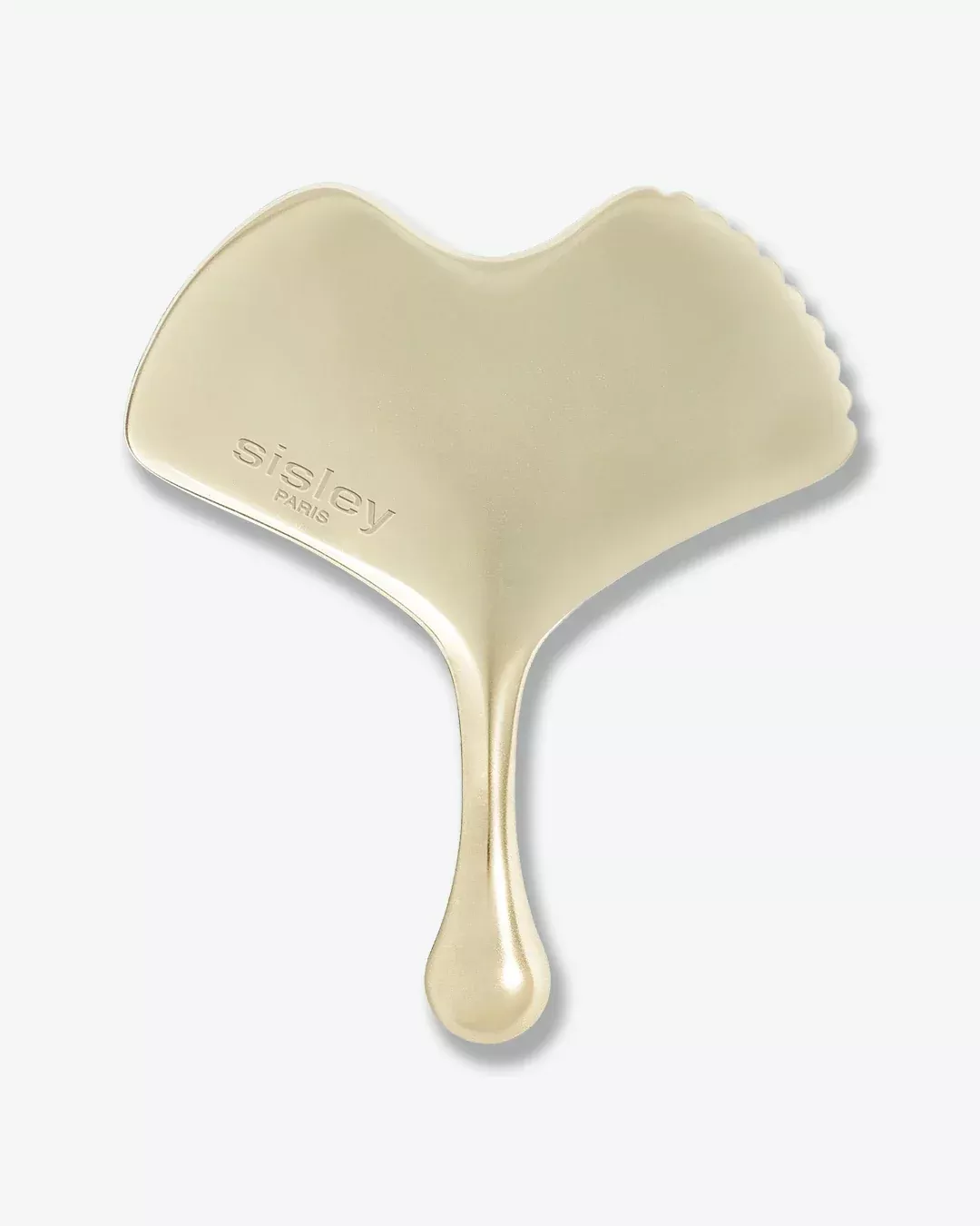 Ginkgo Gua Sha