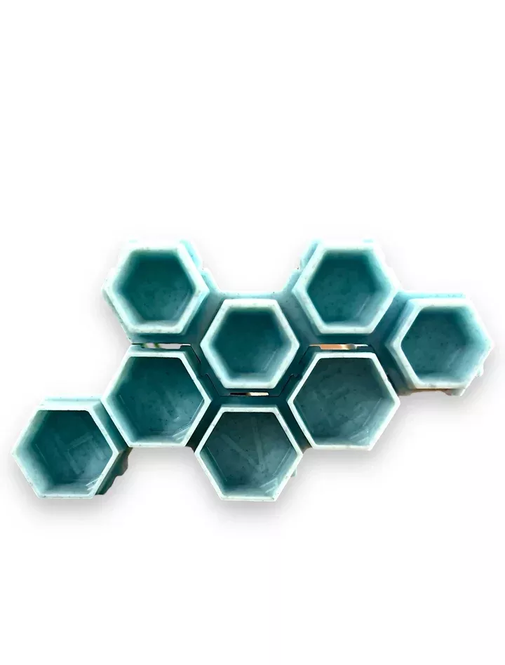 hive-caps-eco Hive Caps Eco