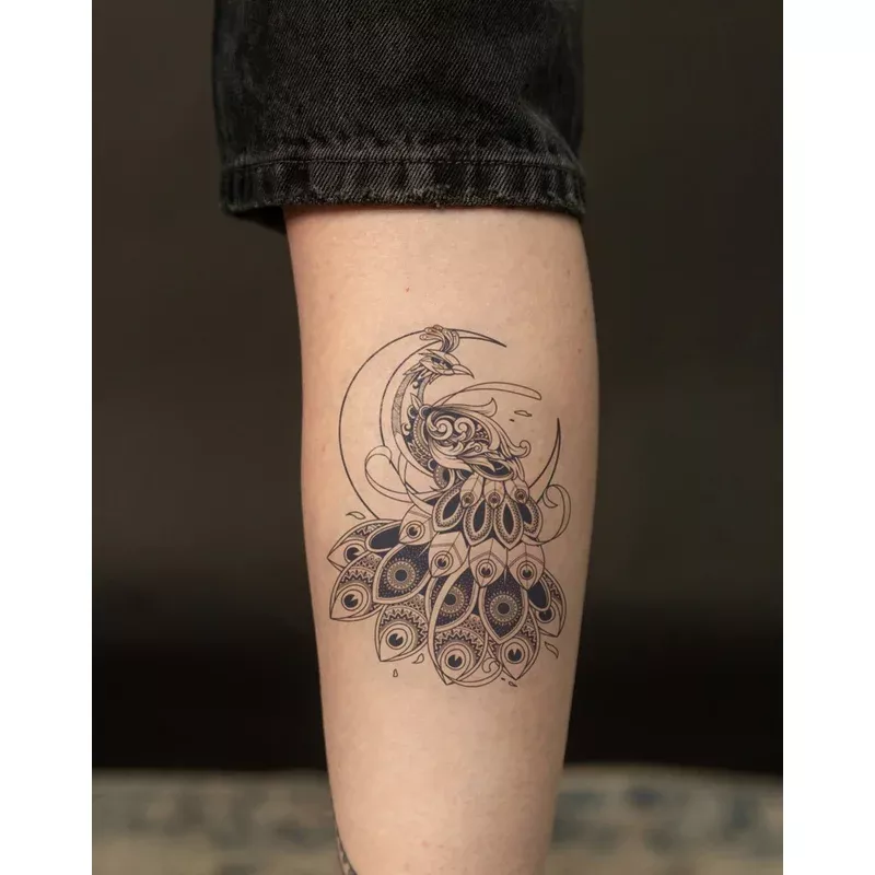 Moon & Peacock