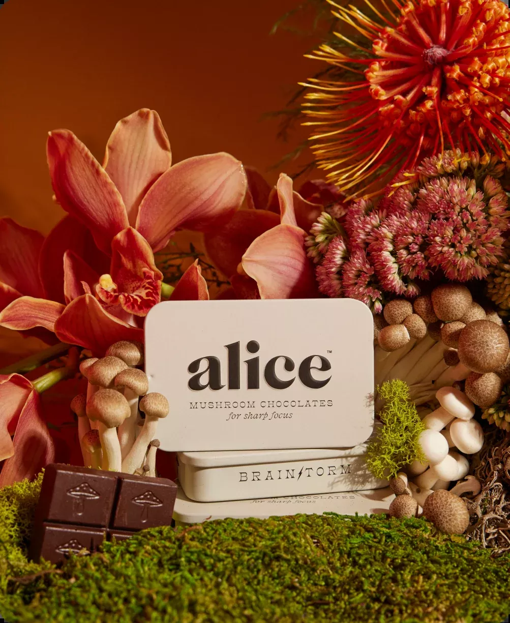 mushroom-chocolates-focus-brainstorm Mushroom chocolates for focus - Brainstorm