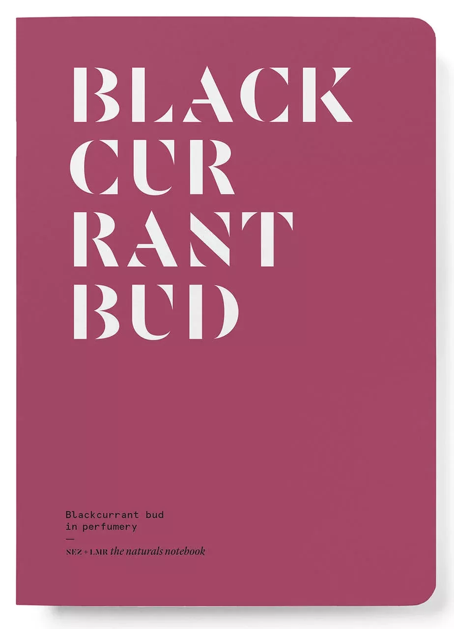 nez-blackcurrant-bud-in-perfumery NEZ Blackcurrant Bud in Perfumery
