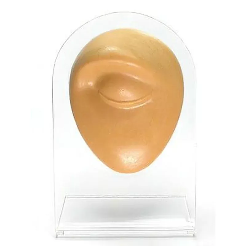 silicone-eyebrow-display-tan-body-bit-version-1 Silicone Eyebrow Display – Tan Body Bit Version 1