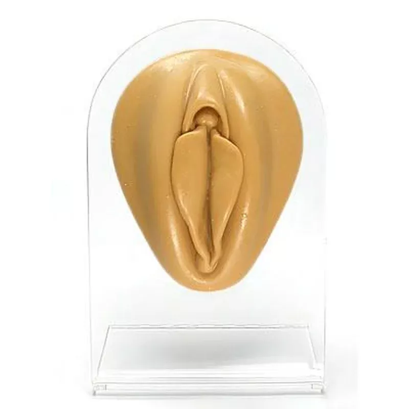 silicone-vagina-display-tan-body-bit-version-1 Silicone Vagina Display – Tan Body Bit Version 1