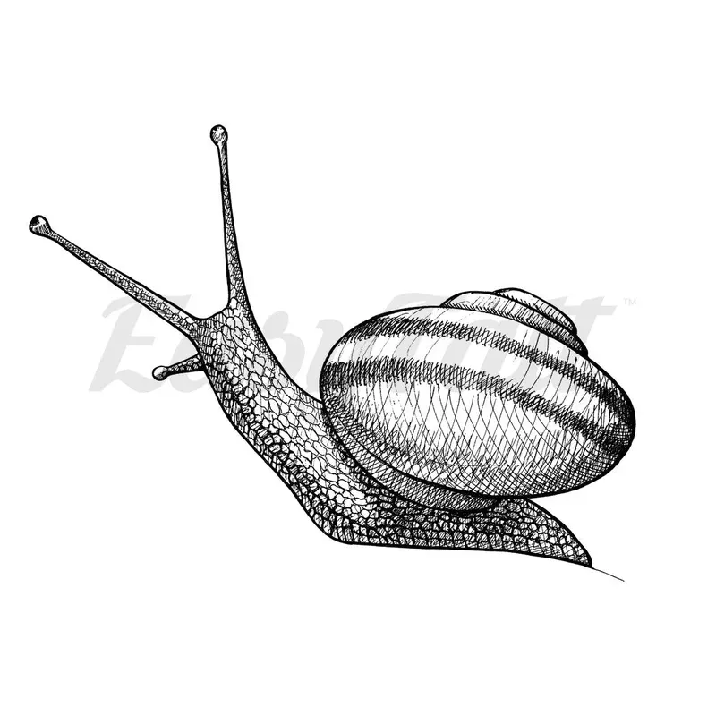 Snail – Temporary Tattoo