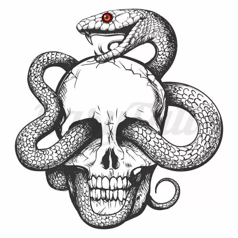snake-skull-temporary-tattoo Snake and Skull – Temporary Tattoo