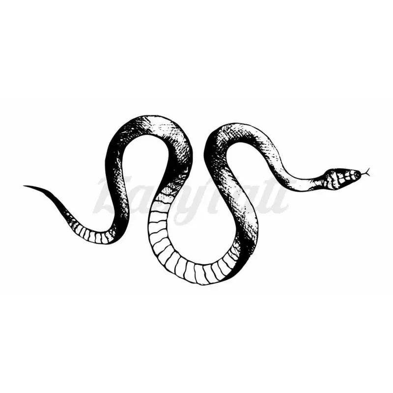 snake-temporary-tattoo Snake – Temporary Tattoo
