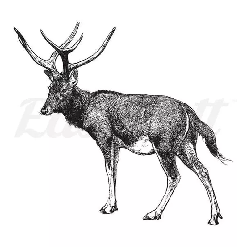 standing-deer-temporary-tattoo Standing Deer – Temporary Tattoo