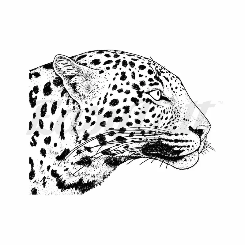 staringcheetah-temporary-tattoo StaringCheetah – Temporary Tattoo