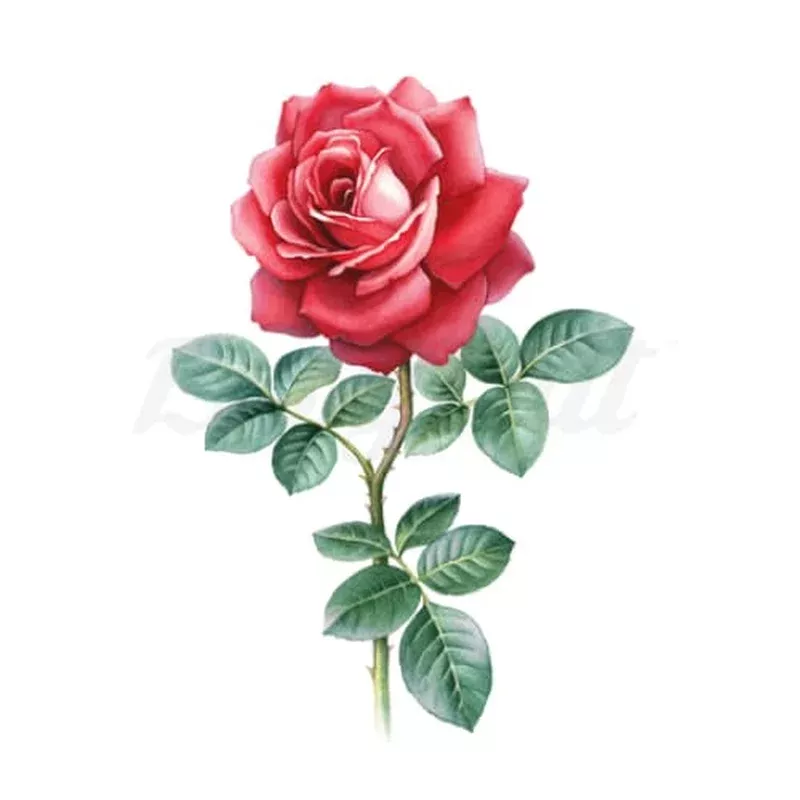stemmed-red-rose-temporary-tattoo Stemmed Red Rose – Temporary Tattoo