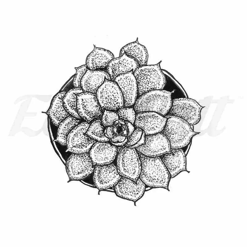 succulent-temporary-tattoo Succulent – Temporary Tattoo