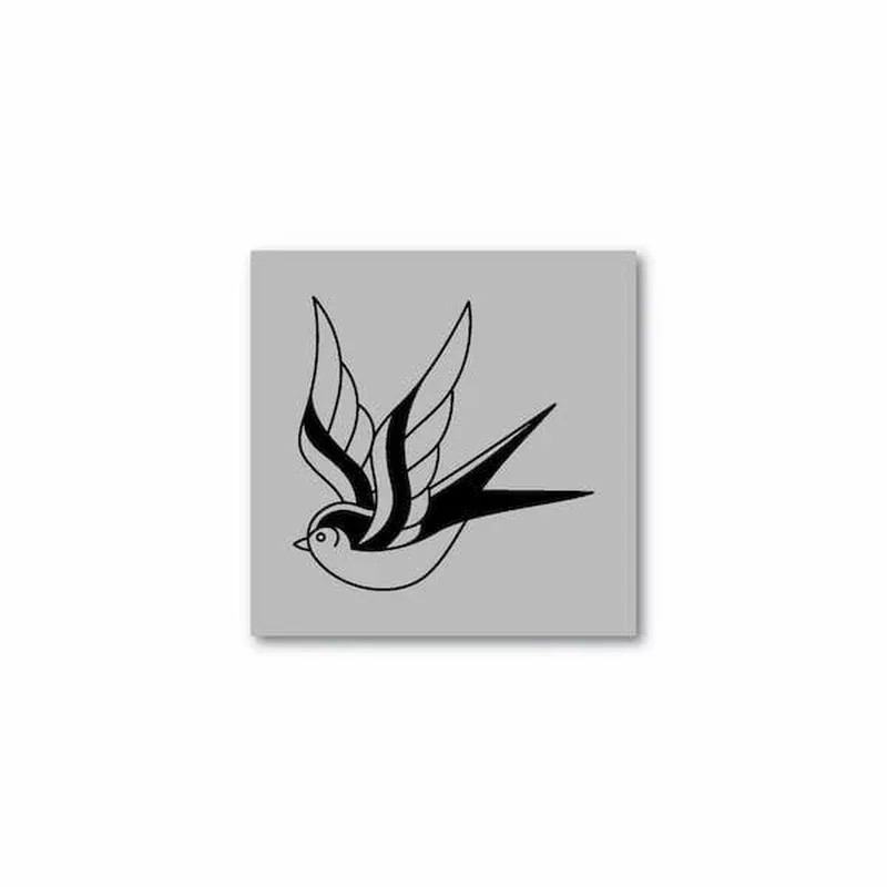 swallow Swallow
