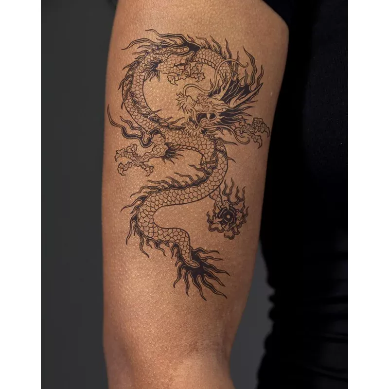 Traditional Japanese Dragon v2
