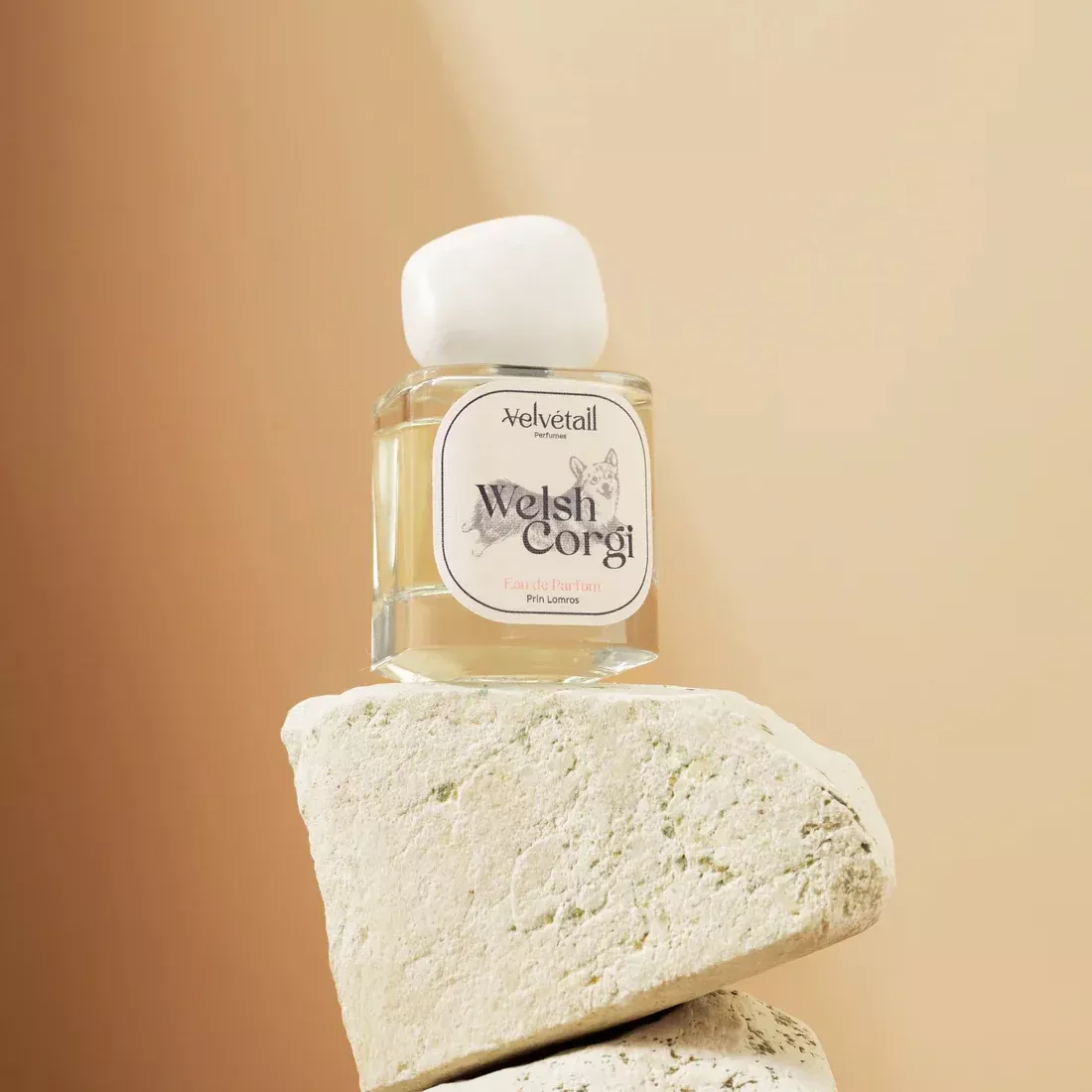 Velvétail Welsh Corgi Eau de Parfum
