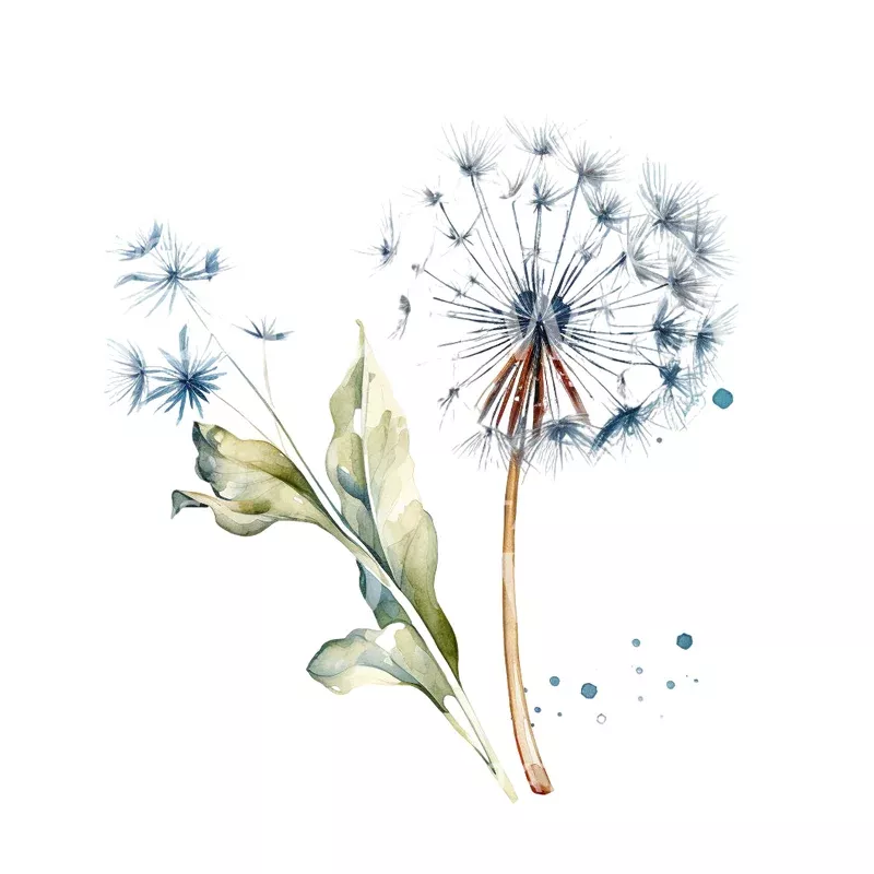 Watercolor Dandelion Tattoo Design