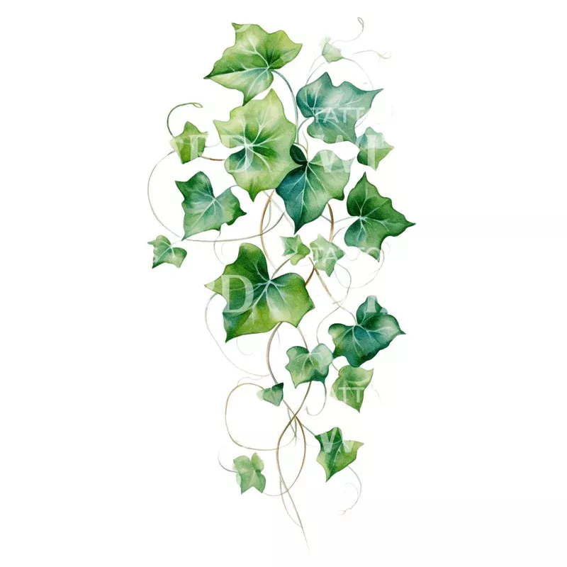 watercolor-ivy-tattoo-design Watercolor Ivy Tattoo Design