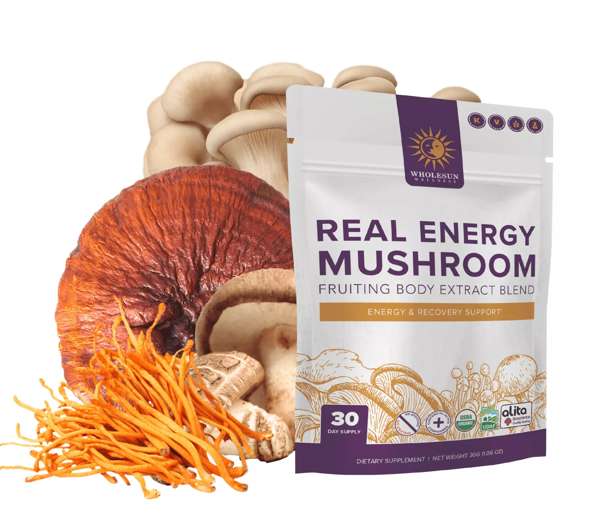 wholesun-real-energy-mushroom-powder Wholesun Real Energy Mushroom Powder
