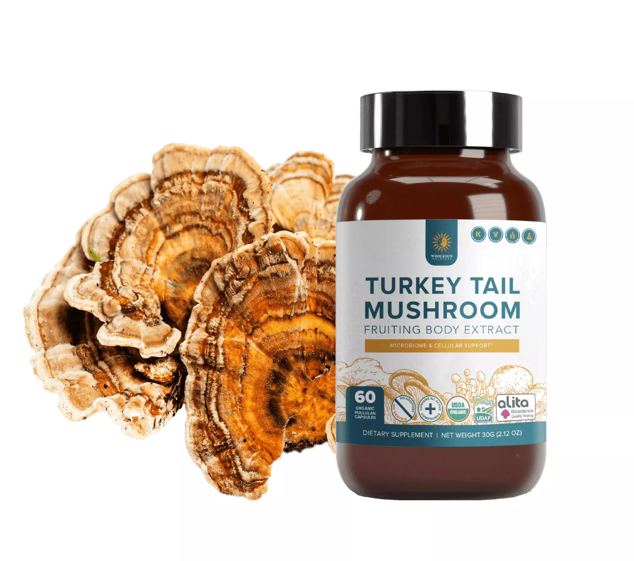wholesun-turkey-tail-capsule Wholesun Turkey Tail Capsule